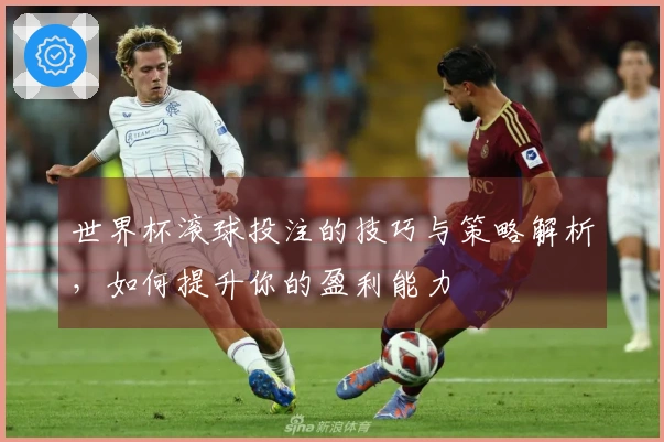 世界杯滚球投注的技巧与策略解析，如何提升你的盈利能力