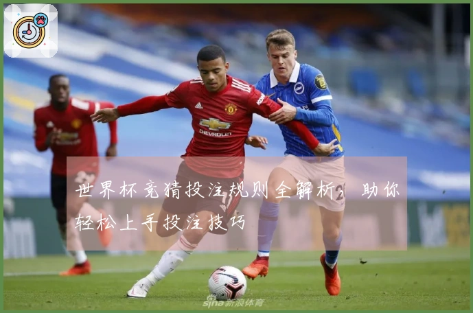世界杯竞猜投注规则全解析，助你轻松上手投注技巧